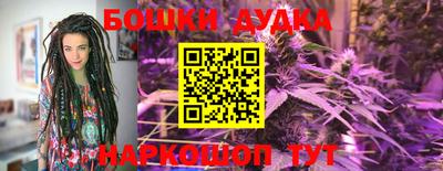 apvp Севастополь