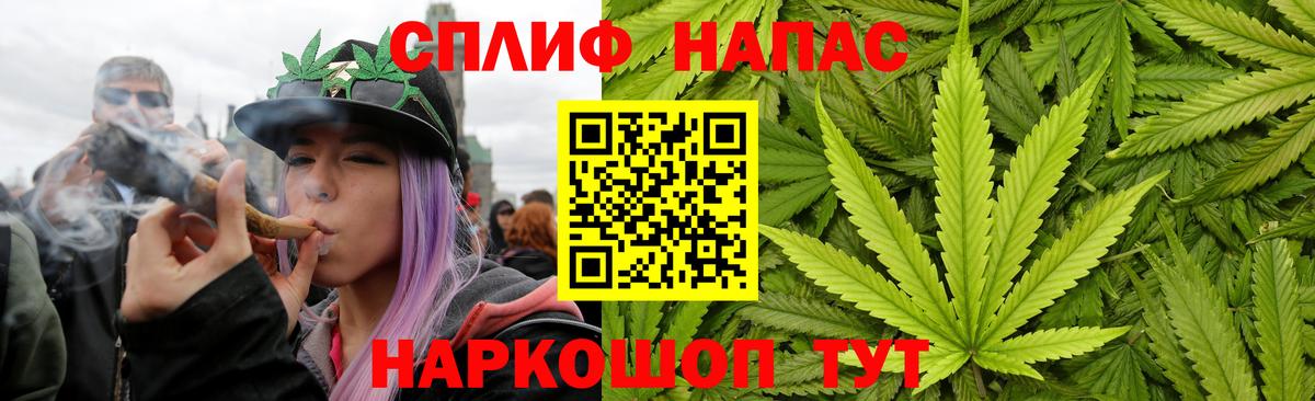 МАРИХУАНА семена Мыски